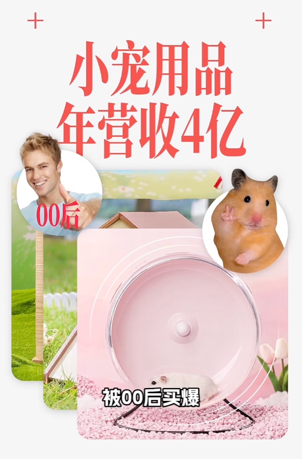 小红书版视频开头画面：小宠用品年营收4亿，被00后买爆
