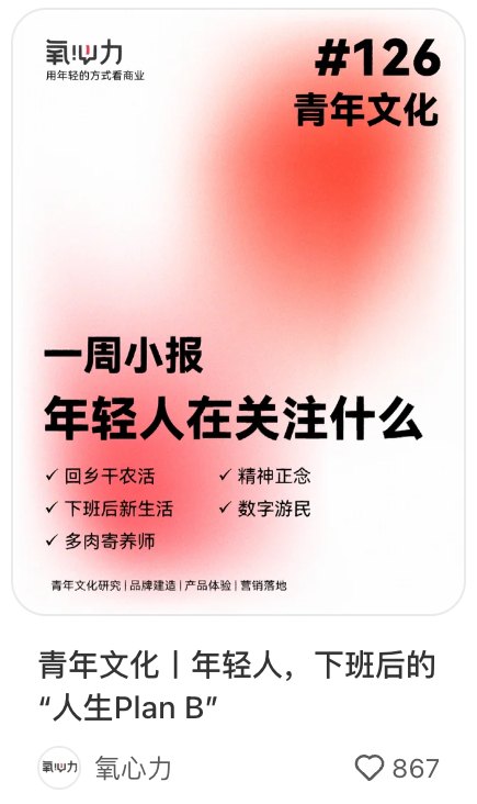 氧心力「青年趋势」笔记：青年文化丨年轻人，下班后的“人生Plan B”，867 赞